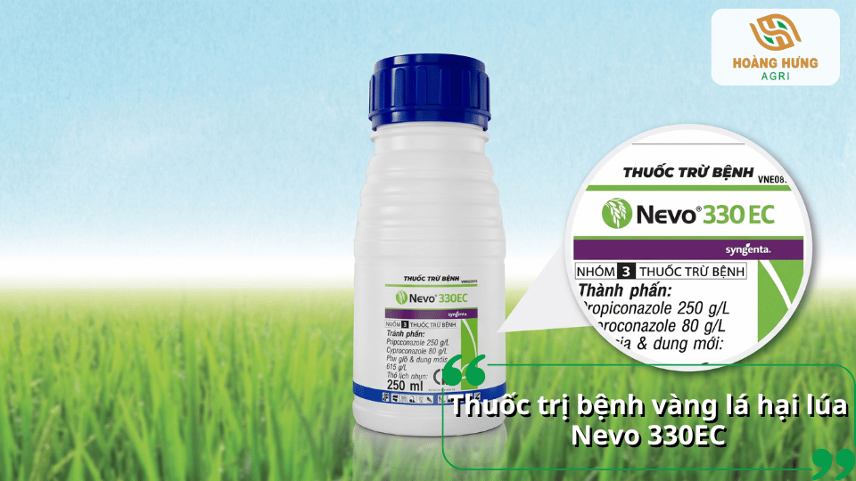 Chai thuốc Nevo 330EC với hình phóng to thành phần hoạt chất, giới thiệu thuốc trị bệnh vàng lá trên lúa.