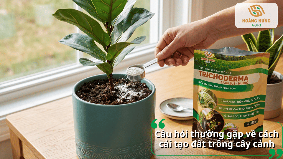 Câu hỏi thường gặp về cách cải tạo đất trồng cây cảnh bằng phân trùn quế và chế phẩm Trichoderma.