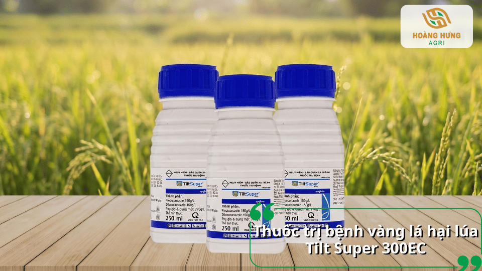Ba chai thuốc Tilt Super 300EC trị bệnh vàng lá hại lúa.