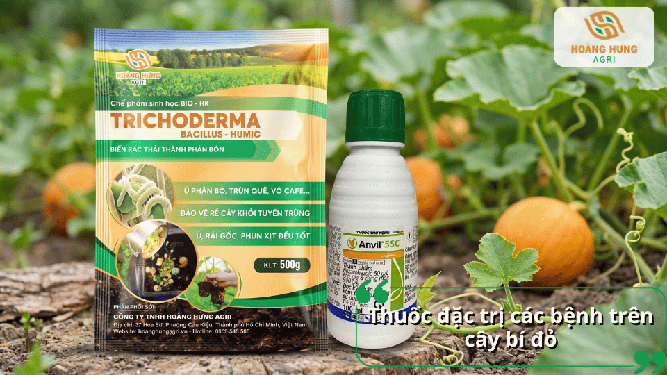 Thuốc đặc trị các bệnh trên cây bí đỏ gồm Trichoderma Bacillus Humic và thuốc bảo vệ thực vật.