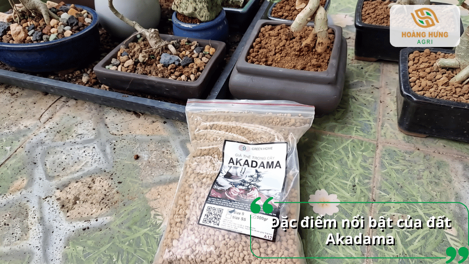 Đặc điểm nổi bật của đất Akadama với cấu trúc hạt xốp, kích thước đa dạng.