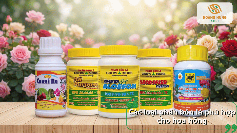 Các loại phân bón lá phù hợp cho hoa hồng với nhiều sản phẩm dinh dưỡng dạng chai và hũ
