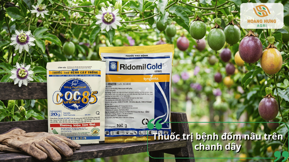 Thuốc trị bệnh đốm nâu trên chanh dây giúp kiểm soát các vết bệnh trên quả và bảo vệ cây.
